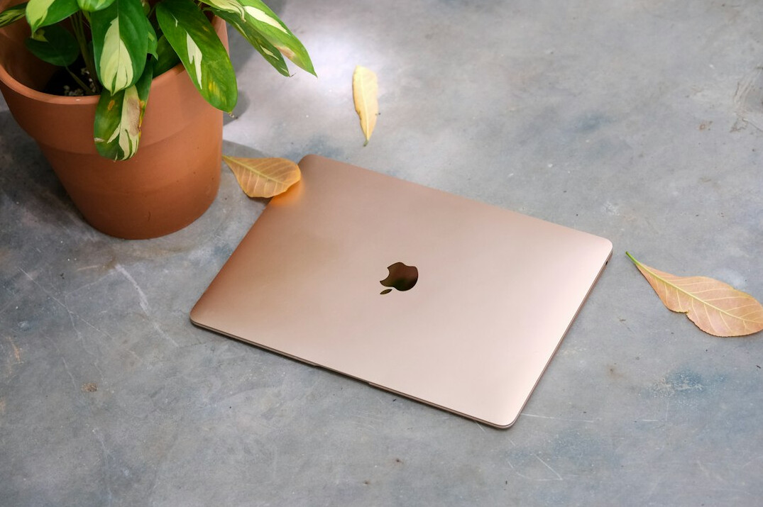 Laptop with colorful code beside a plant