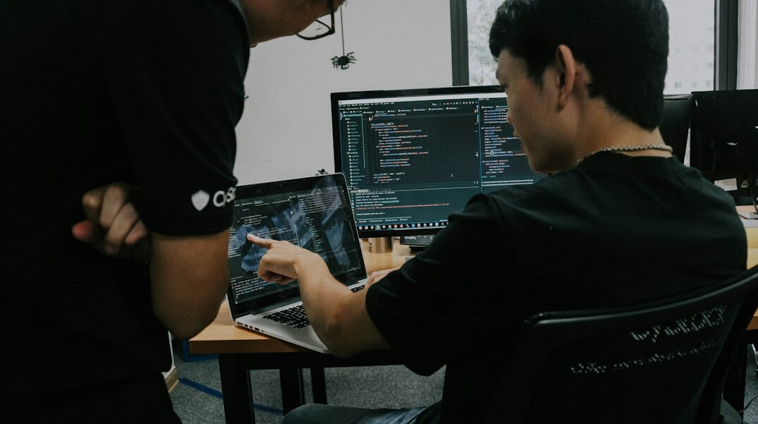 programming mentor and student